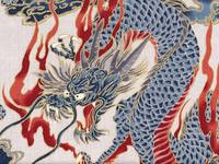 Wachstuch Drachen groß natur Wachstuch Drachen groß natur