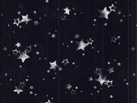 Wachstuch Sterne navy Wachstuch Sterne navy