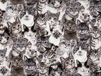 Wachstuch Sepia Cat Wachstuch Sepia Cat