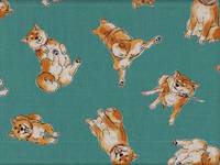 Wachstuch Shiba Inu türkis Wachstuch Shiba Inu türkis