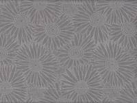 Wachstuch Margeriten grau Wachstuch Margeriten grau