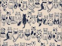 Wachstuch Katzen creme Wachstuch Katzen creme