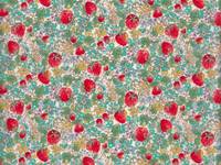 Wachstuch Erdbeerfeld Wachstuch Erdbeerfeld