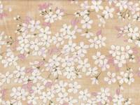Wachstuch Sakura creme Wachstuch Sakura creme