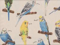 Wachstuch Parakeet natur Wachstuch Parakeet natur