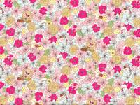 Wachstuch Katzen & Blumen creme Wachstuch Katzen & Blumen creme