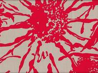 Wachstuch Blumen groß rot Wachstuch Blumen groß rot