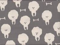 Wachstuch Bichon Frisé Wachstuch Bichon Frisé