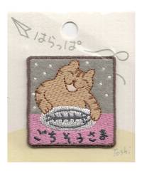 Toshi - Katze Toshi - Katze