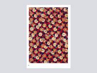 Figured Paper of Edo. Chiyogami designs Figured Paper of Edo. Chiyogami designs