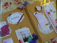 Scrapaholic Book Scrapaholic Book