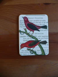 Magnet Birds & Nests 04 Magnet Birds & Nests 04