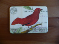 Magnet Birds & Nests 05 Magnet Birds & Nests 05