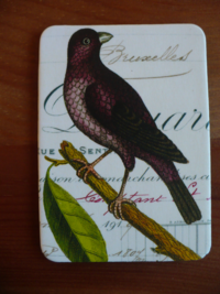 Magnet Birds & Nests 22 Magnet Birds & Nests 22