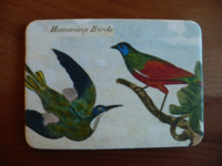 Magnet Birds & Nests 24 Magnet Birds & Nests 24