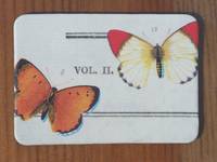 Magnet Butterflies 12