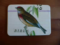 Magnet Birds & Nests 10 Magnet Birds & Nests 10