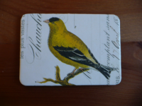 Magnet Birds & Nests 11 Magnet Birds & Nests 11