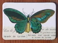 Magnet Butterflies 13 Magnet Butterflies 13