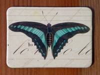 Magnet Butterflies 19 Magnet Butterflies 19