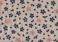 Sakura weiß Sakura weiß