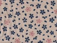 Sakura weiß Sakura weiß