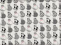 Katzen weiß Katzen weiß