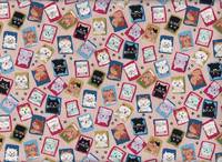 Katzenportrait Katzenportrait