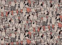 Cats salmon Cats salmon