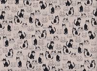 Katzen & Köpfe natur Katzen & Köpfe natur