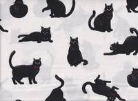 Katzen weiß Katzen weiß