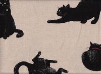 Katzen groß natur Katzen groß natur