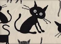 Mäx weiß Mäx weiß