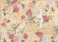 Hana neko apricot Hana neko apricot