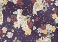 Hana neko lila Hana neko lila