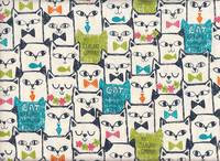 Pleasant Cat weiß Pleasant Cat weiß