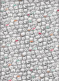 Katzen weiß Katzen weiß