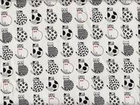 Katzen weiß Katzen weiß