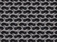 Katzen grau Katzen grau