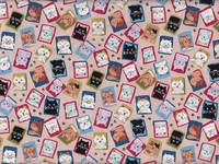 Katzenportrait Katzenportrait