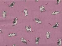 Katze Fabius rosa Katze Fabius rosa