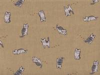 Katze Fabius gelb Katze Fabius gelb