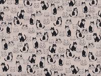 Katzen & Köpfe natur Katzen & Köpfe natur