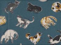 Katzen petrol Katzen petrol