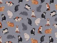 Katzen grau Katzen grau