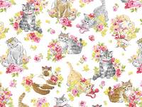 Cute Cat white Cute Cat white