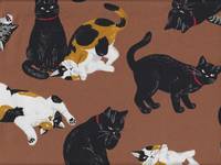 Katzen kupfer Katzen kupfer