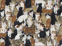 Katzenhaufen grau Katzenhaufen grau