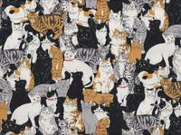 Katzenhaufen schwarz Katzenhaufen schwarz