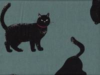 Katzen groß türkis Katzen groß türkis